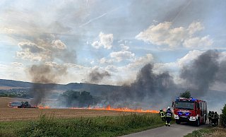 Feldbrände können sich rasend schnell ausbreiten. - Feuerwehr Boffzen