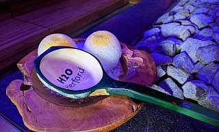 Ein Saunabesuch lief am Mittwoch nicht geplant. - (Archivbild). Susanne Barth