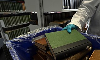In vielen Bibliotheken werden derzeit grüne Bücher aus dem 19. Jahrhundert aus den Regalen genommen - sie stehen unter Verdacht, mit giftigem Arsen belastet zu sein. - Federico Gambarini