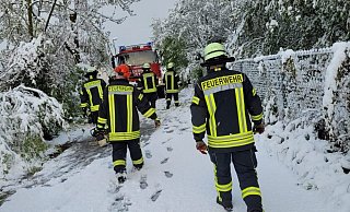 Schnee im April: Die Nieheimer Feuerwehren waren seit halb 5 unter anderem mit der Kettensäge im Einsatz, um Straßen von umgeknickten Bäumen und heruntergefallenen Ästen zu befreien. - Feuerwehr Nieheim