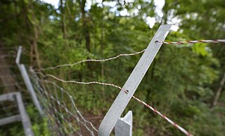 Unbekannte haben zum zweiten Mal innerhalb kürzester Zeit den Wildschutzzaun am Doberg beschädigt. - Gerald Dunkel