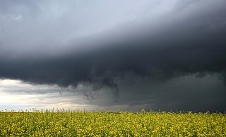 Für den Samstagnachmittag ist in OWL Regen angesagt. - Alexander Wolf/dpa