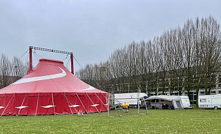 Der verdächtige 29-jährige Haupttäter sitzt nach dem eskalierten Streit bei einem Zirkus weiterhin in Untersuchungshaft. - Wolfgang Wotke