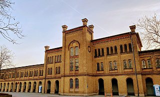 Seit fast zwei Jahren herrscht am ehemaligen Real gähnende Leere. - Eike J. Horstmann Seit fast zwei Jahren herrscht am ehemaligen Real gähnende Leere. - Eike J. Horstmann