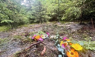 Am Leichenfundort von Marion S. mitten in einer Tannenschonung eines kleines Waldstückes wurden Blumen abgelegt. Ob sie hier starb, oder ihre Leiche abgelegt wurde, ist nicht öffentlich bekannt. - Wolfgang Wotke