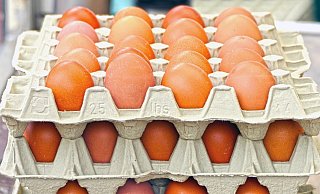Auch Eier könnte es aus den Verkaufsautomaten geben. - Pixabay (Symbolbild)