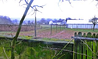 Der Blick geht von der Hofmauer des Biohofes in Richtung Osnabrücker und Wilfriedstraße. Auf Grünflächen des Hofes Meyer zu Borgsen sollen rund 60 neue Wohneinheiten entstehen. - Susanne Lahr