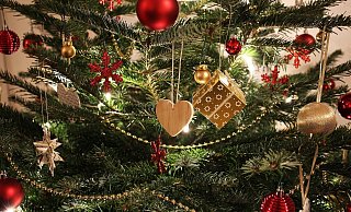 Nach der Weihnachtszeit werden die Christbäume oft schnell entsorgt. Sie können aber auch weiterverwendet werden. - Symbolbild: Pixabay