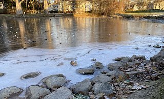 Eine Eisschicht hat sich auf dem Kolk im Riemekepark gebildet, tragfähig ist sie höchstens für Wasservögel. - Marc Schröder