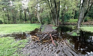 Einige Wanderwege in der Moosheide bei Hövelhof erfordern aufgrund der Regenfälle zusätzliche Vorsicht. - Gemeinde Hövelhof