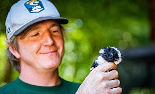 Tierpfleger Tobias Becker kümmert sich liebevoll um die Meerschweinchen. - Sarah Jonek