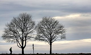 Für einen Sonntagsspaziergang eignet sich vor allem die zweite Tageshälfte. Es dürfte in OWL dann nur vereinzelt regnen. - Thomas Warnack