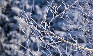 Es wird wieder kalt im Norden von OWL. - Symbolbild: Pixabay