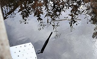 Sensor für die Pegel-Messung am Steinheimer Heubach. - Madita Schellenberg