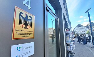 Das Thünen-Institut sollte am Marktplatz in Höxter am Markt 4 einziehen – der Adler war schon gelandet. Foto: Simone Flörke - Simone Flörke