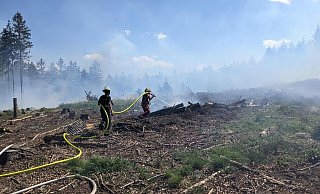 Feuerwehrleute aus Euskirchen und anliegenden Orten löschen einen Brand auf einer gerodeten Waldfläche. - Benedict Lickfeld