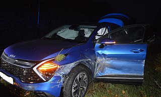 Der Kia des Löhners kam nach eine Kollision mit Schutzplanke und Leitpfosten in einem Gebüsch zum Stehen. - Polizei Bückeburg