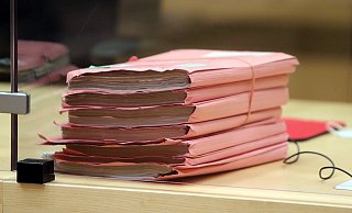 Zwei Männer waren angeklagt, einen 25 Jahre alten Mann n ein Gebüsch gedrückt, ihn verprügelt und sein Telefon geraubt zu haben. - Wolfgang Rudolf