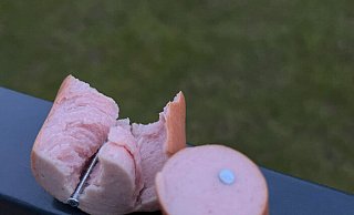Die mit Nägeln präparierten Würstchen dienen als Lockmittel für die Hunde. - privat