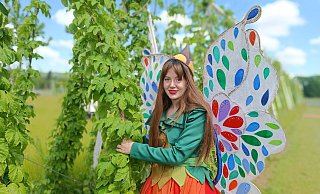 Zur Landesgartenschau ist der Hopfen – hier mit Holli – nach Höxter zurückgekehrt. Die grünen Lianen umgeben eine Obstplantage in Sichtweite des Klosters. - LGS