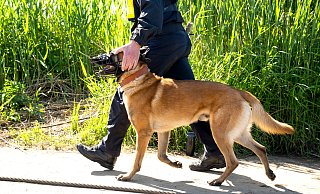 Das am Mittwoch vermisste Mädchen aus Brakel ist wieder da. Ein Tatverdächtiger sitzt in U-Haft. - Sina Schuldt