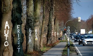 Klimaschützerinnen und Klimaschützer hatten die Bäume bemalt aus Protest gegen eine drohende Abholzung. - Andreas Frücht