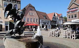 Der Gänsebrunnen auf dem Gänsemarkt in der Radewig ist ein Hingucker. Acht aus Bronze gegossene Gänse zieren diesen Brunnen. - Frank-Michael Kiel-Steinkamp