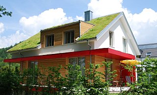 Die nach der Kommunalwahl 2020 erstarkte grüne Ratsfraktion hat sich durchgesetzt. Die Stadt SHS wird Dach- und Fassadenbegrünung fördern. Was förderungsfähig ist und was nicht, ist in einer Satzung festgehalten, die jetzt der Stadtrat während seiner letzten Sitzung vor der Sommerpause beschlossen hat. Pro Grundstück werden maximal 4.000 Euro ausgezahlt. Mindestens die Hälfte des Dach- oder Fassadengrüns sollte aus heimischen Pflanzen bestehen. Die Grünen hatten ihr Anliegen damit begründet, dass so ein wichtiger Beitrag zum Klimaschutz geleistet werden könne. Weitere Vorteile seien der Schutz der Bausubstanz sowie Lärm- und Schallschutz. - Bundesverband GebäudeGrün