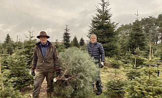 Heiner Vieth (l.) und Harry Surendorf mit einer Colorado-Tanne aus der eigenen Schonung. - Phyllis Frieling