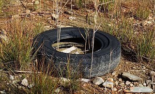 Der Reifen ist bislang noch nicht gefunden worden. - (Symbolbild): Pixabay