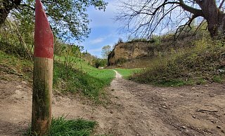Der Doberg ist bei Spaziergängern beliebt. Jetzt muss er gesperrt werden - weil der Kreis sich um die Sicherheit der Besucher sorgt. - Florian Weyand