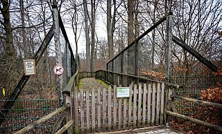 Trotz gesperrter Wolfsbrücke mit Laub und Moos lieben die Bielefelder ihren Tierpark. - Barbara Franke