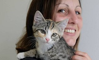 Der kleine grau mit orange getigerte Kater wurde "Mazda" getauft, ist zwölf Wochen alt und jetzt in der Obhut von Tierpflegerin Stefanie Schreiber im Tierheim Lübbecke. - Heike von Schulz