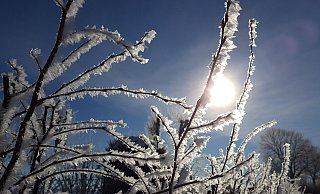 Frostige Nächte, kaum zehn Grad Höchsttemperatur an den Tagen. Wie kalt ist der April im Kreis Höxter wirklich? - David Schellenberg
