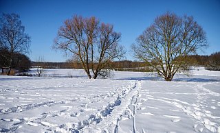 Winterwunderland in Bielefeld: Im Februar lag so viel Schnee wie schon lange nicht mehr. - Barbara Franke