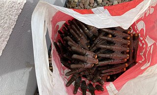 Die auf einen Gurt gezogenen Patronen wurden in einem Kühlschrank entdeckt. - Stadt Herford