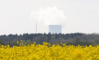 Das Kernkraftwerk Emsland in Niedersachsen soll Ende des Jahres abgeschaltet werden. - picture alliance/dpa
