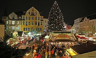 Der große Weihnachtsbaum der Ravensberger Himmelspforte wird wieder auf dem Alten Markt erstrahlen. - Frank-Michael Kiel-Steinkamp