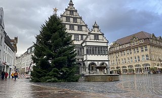 Am Vormittag sind die ersten Dekorationen wie der Stern auf der Spitze und Lichterketten am Weihnachtsbaum auf dem Paderborner Rathausplatz angebracht worden. - Marc Schröder