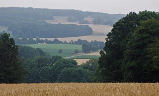 Vom Spatzenberg aus bietet sich ein wunderschöner Blick in die typisch ostwestfälische Landschaft. Im Hintergrund ist der Homberg zu sehen. - Meiko Haselhorst