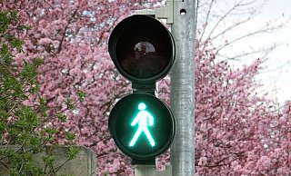 Drei Monate lang hat die Stadtverwaltung Beverungen nach Bürgerhinweisen die Grünphasen der Fußgängerampeln getestet. - Pixabay