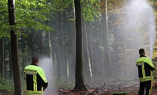 Wasser marsch: um auch im dichten, tiefen Wald über ausreichend Löschwasser zu verfügen bedarf es einer genauen Planung. - Claus Frickemeier