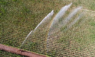 Angesichts häufigerer Dürren wollen immer mehr Bundesländer Landwirte für ihren Wasserverbrauch zur Kasse bitten. - Julian Stratenschulte