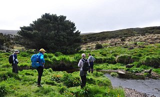 Neuseeland, hier Campbell Island, ist als Drehort der Serie "Die Hobbits" als Urlausbziel besonders beliebt. - dpa