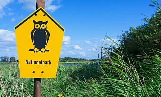 Pläne für einen zweiten Nationalpark in NRW werden aktuell in den Regionen hitzig diskutiert. - imago images/IlluPics