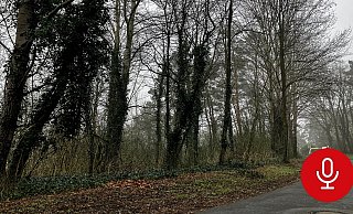 Der Tatort liegt in einem schmalen Waldstreifen in Senne. Kurz hinter der Wohnbebauung der Straße Am Ehrenkamp hatten sich die Mädchen eine Bude gebaut. - Jens Reichenbach