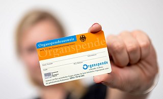 Auf einem Organspendeausweis können Bürger ihre Entscheidung für oder gegen eine Organspende festhalten. Viele Deutsche halten ihren Willen jedoch nicht fest und belasten so ihre Angehörigen. - picture alliance