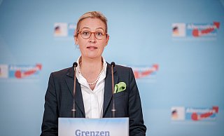 Alice Weidel, Fraktionsvorsitzende der AfD, hält die Demonstrationen für eine „inszenierten Medienkampagne“. - Kay Nietfeld