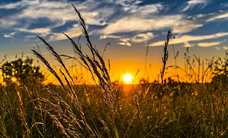 Zum meteorologischen Herbstanfang locken Sonne und Wärme die Paderborner ins Freie. - (Symbolbild) Pixabay/FelixMittermeier