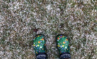 Graupel- und Schneeschauer sind auch in Ostwestfalen-Lippe drin. - picture alliance/dpa/dpa-Zentralbild